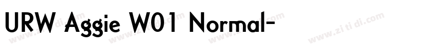URW Aggie W01 Normal字体转换